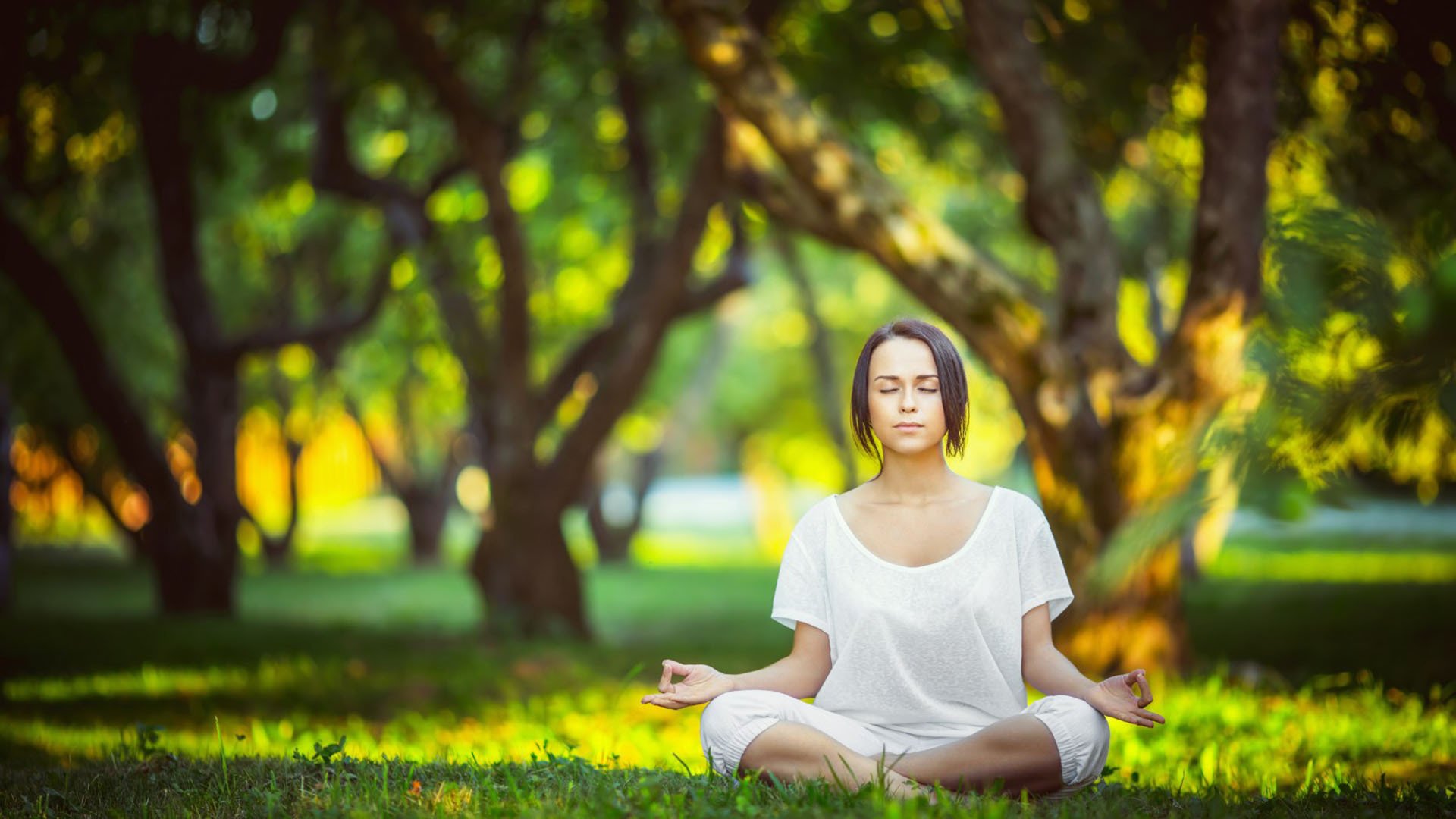 kaiyun中国-冰火两重天，国米五连胜傲视群雄，孙兴慜主帅深陷下课危机，国米五连胜傲视群雄，孙兴慜主帅深陷下课危机